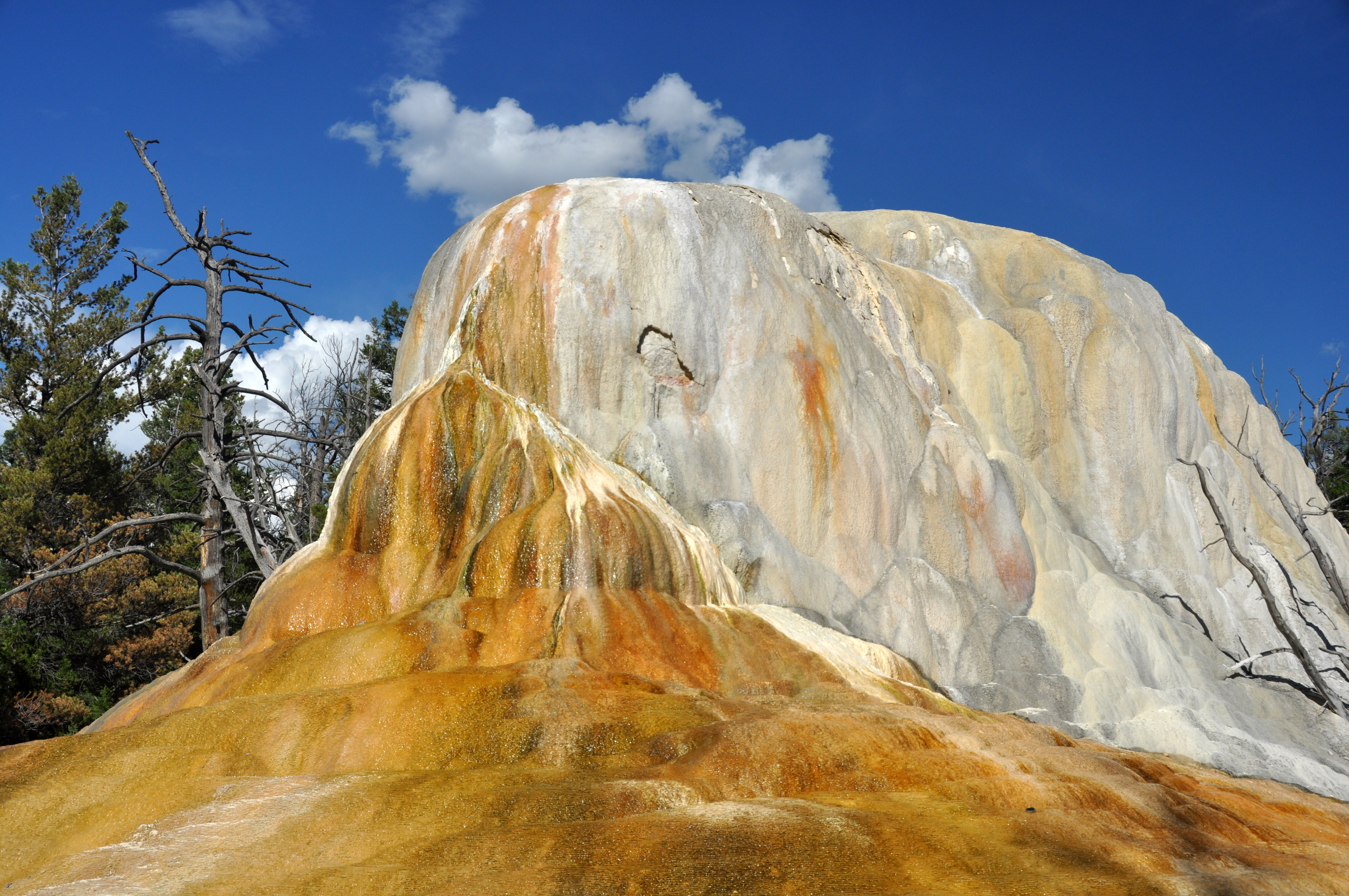 AP245Orange Mound Spring Yellowstone