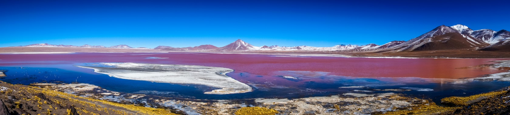 AP246 Red lagoon lago rojo in the Uyuni tour Salar de Uyuni Bolivia1