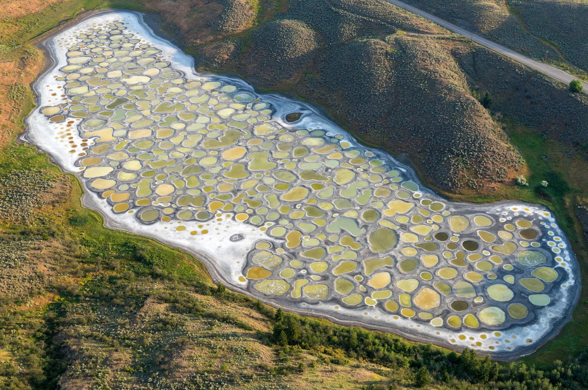AP247 Spotted Lake.jpg