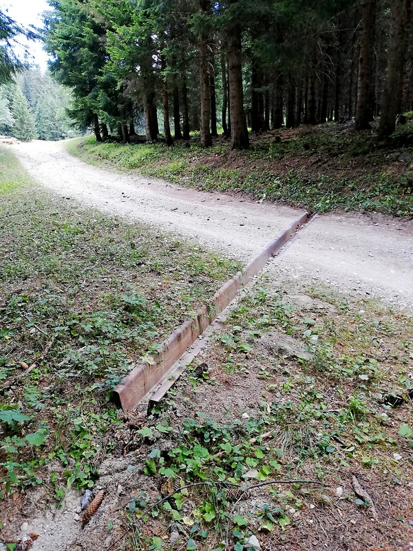 AP261 Drainage rail across a forest track Savoy France