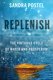 Replenish (Postel, 2017)