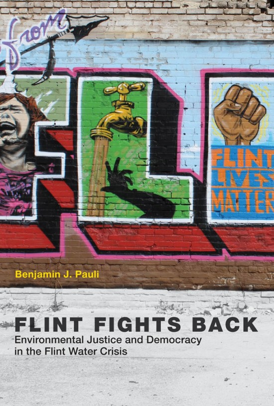 Flint fights back: Environmental justice and democracy in the Flint water crisis (Pauli, 2019)