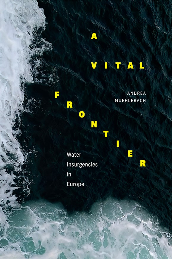 A Vital Frontier: Water Insurgencies in Europe (Muehlebach, 2023)