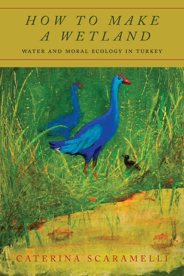 How to make a wetland. Water and moral ecology in Turkey (Scaramelli, 2021)