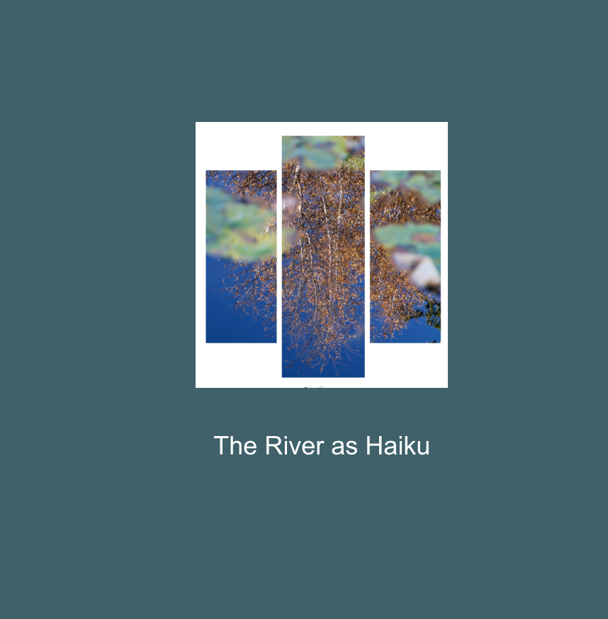 The river as Haiku (Beven, 2025)